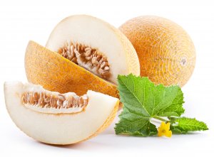Дыня (Фасовка)