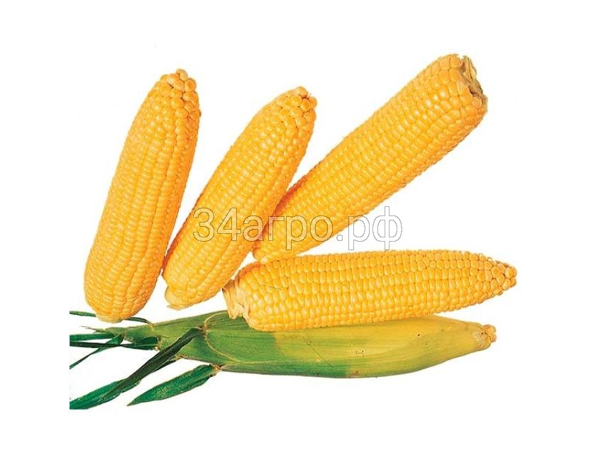 Кукуруза Лакомка Белогорья 50г