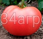 Томат Волгоградские Зори 50г