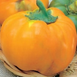 Перец Оранжевый Юбилейный 20 гр.